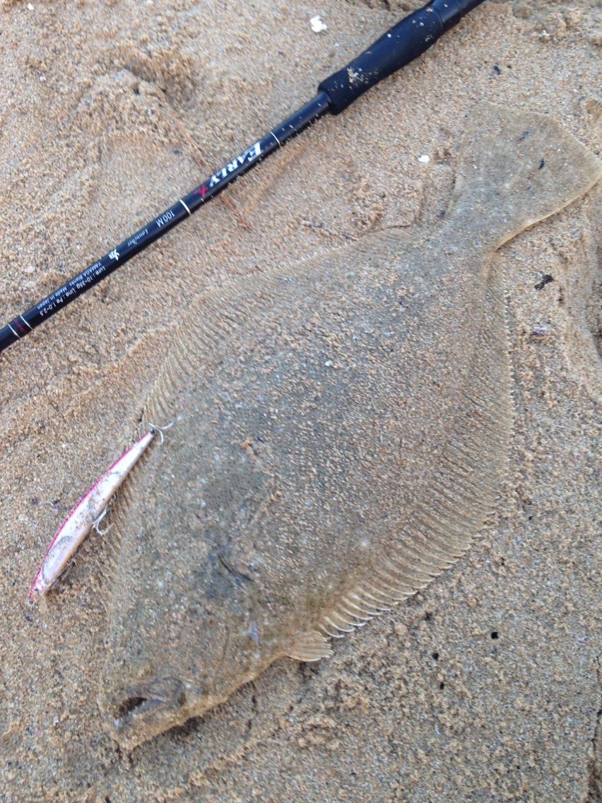 ヒラメ殺しの4つのミノー まずめな釣り師の釣行記