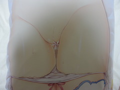 DSC00561