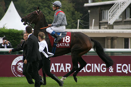 凱旋門賞13回顧 凱旋門賞への道 フランス競馬ブログ親父 凱旋門賞13回顧 凱旋門賞への道 フランス競馬ブログ親父