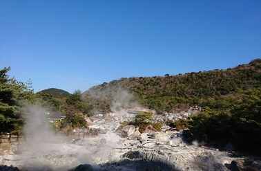 DSC_0306 (2)