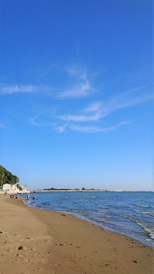 DSC_2621 (2)