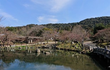 円山公園