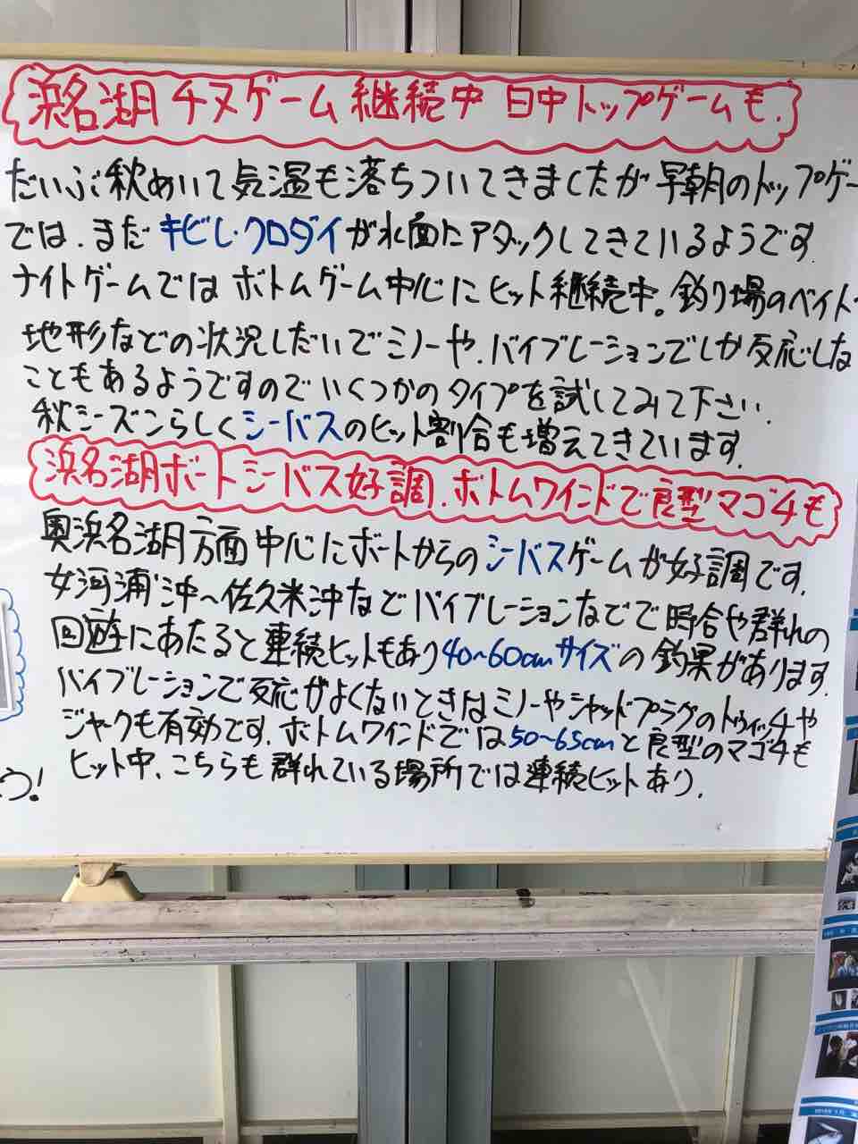 イシグロ店員さんに聞けば釣れるでしょう 釣りキャン隊