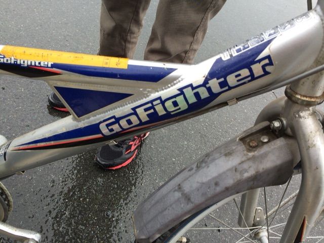 さよならゴーファイター : 釣りキャン隊