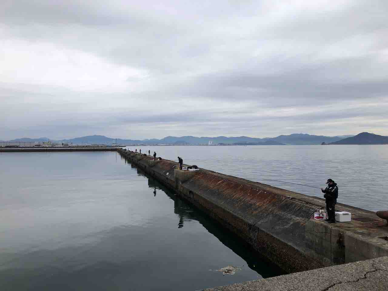 1月19日 広島 木材港でフカセ釣りをしました かつやのフカセ日記