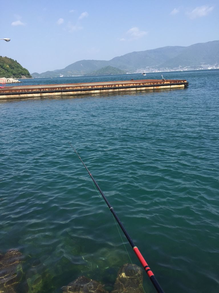5月4日 蒲刈方面へフカセ釣りに行きました かつやのフカセ日記 5月4日 蒲刈方面へフカセ釣りに行きました かつやのフカセ日記