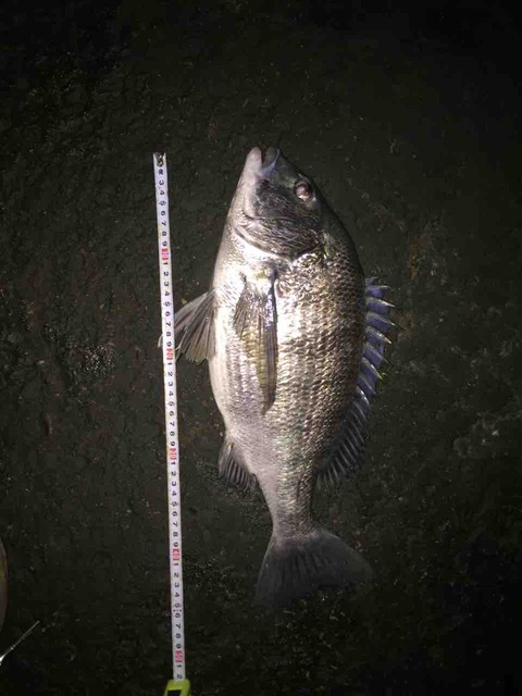 895598A7-B74F-4E42-ACBD-8FD6B6F6FDDB