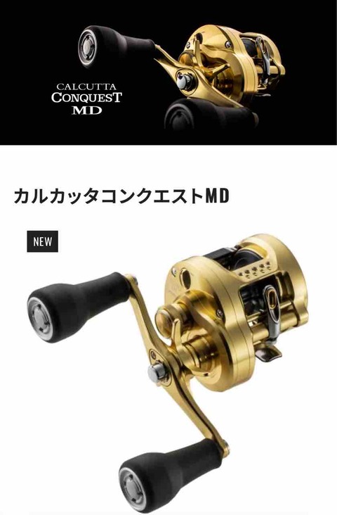 ダイワ・スピニング】TEAM-DAIWA-Xで自分は終了したけど。憧れの