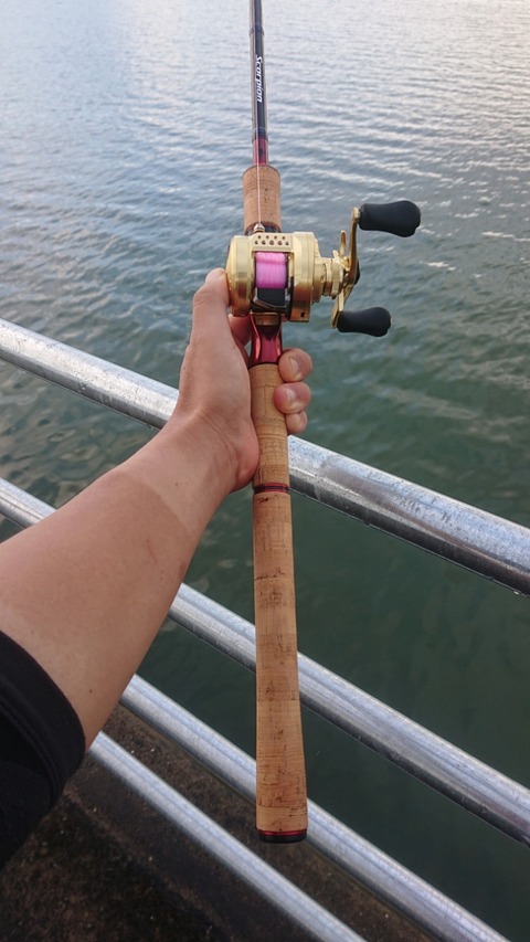 SHIMANO - スコーピオン1752 シマノ ロッド スコーピオン 1752R-2 ベイトキャスティング