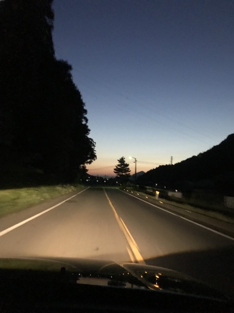 S__43433996