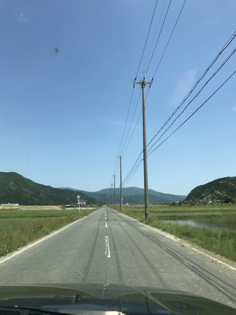 S__43433992