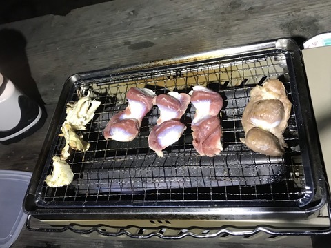 S__43433994