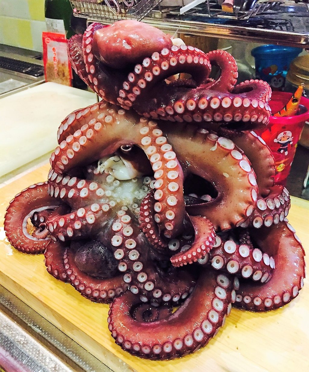 冬こそ蛸さんやってみませんか 実釣 解説編 京都釣り侍 Irie Fishing