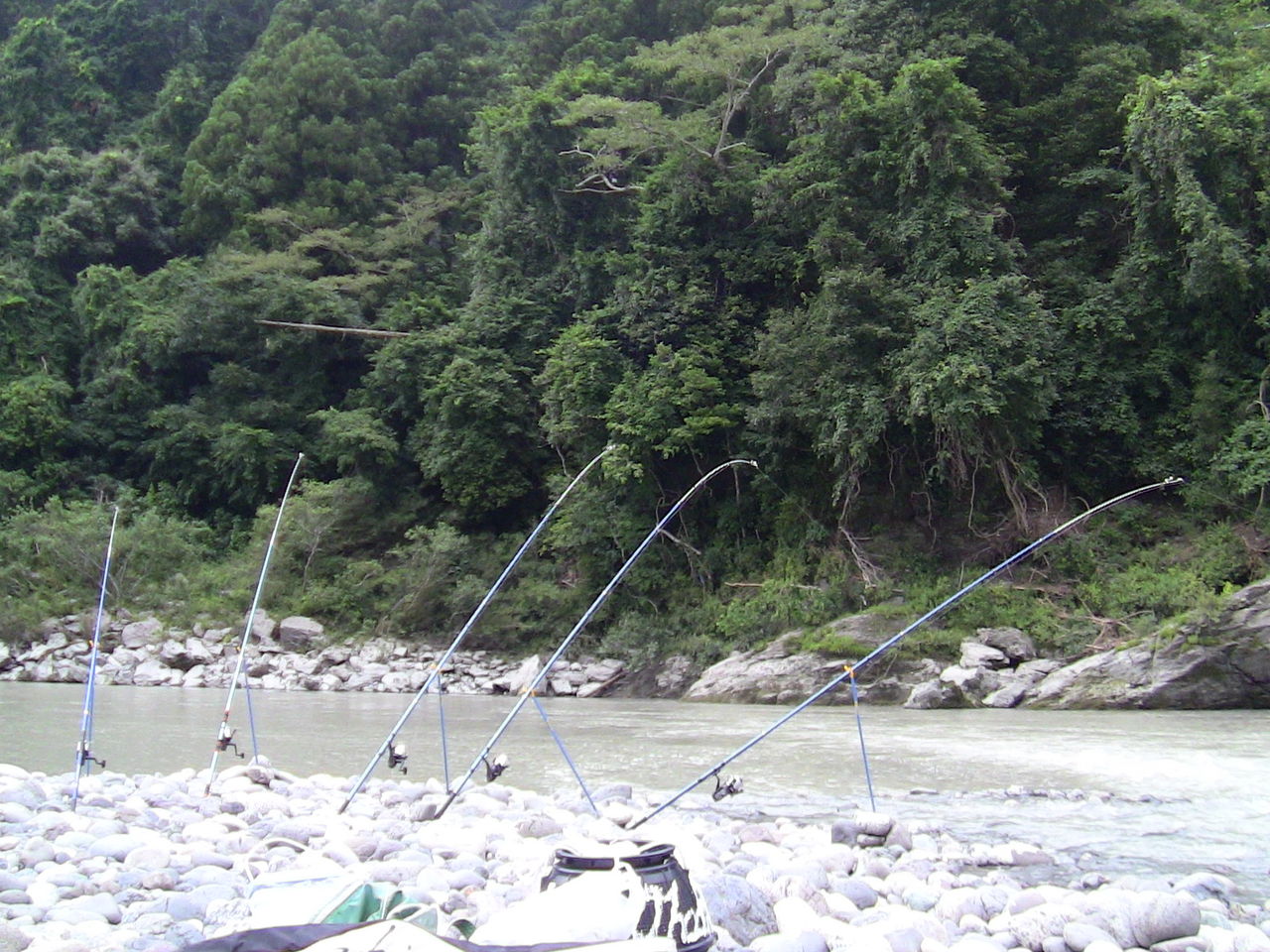 私の独り言 鰻釣り歴 Turisitaisouのblog