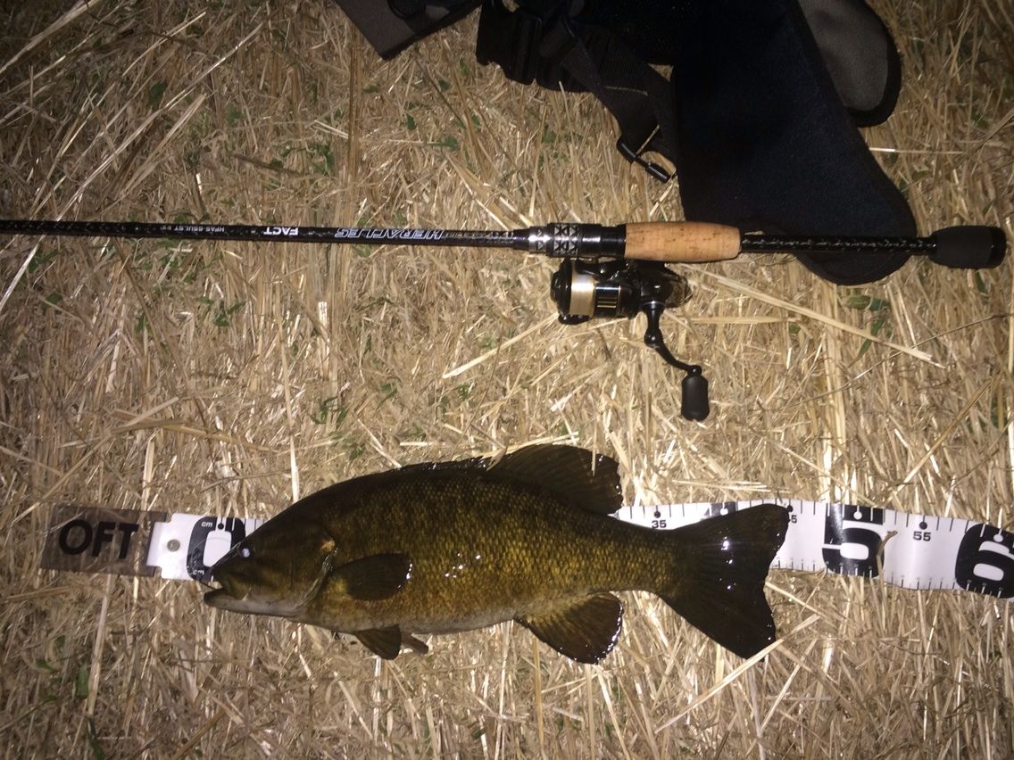 15 2 6 多摩川スモールマウスバス Turisuke123のblog