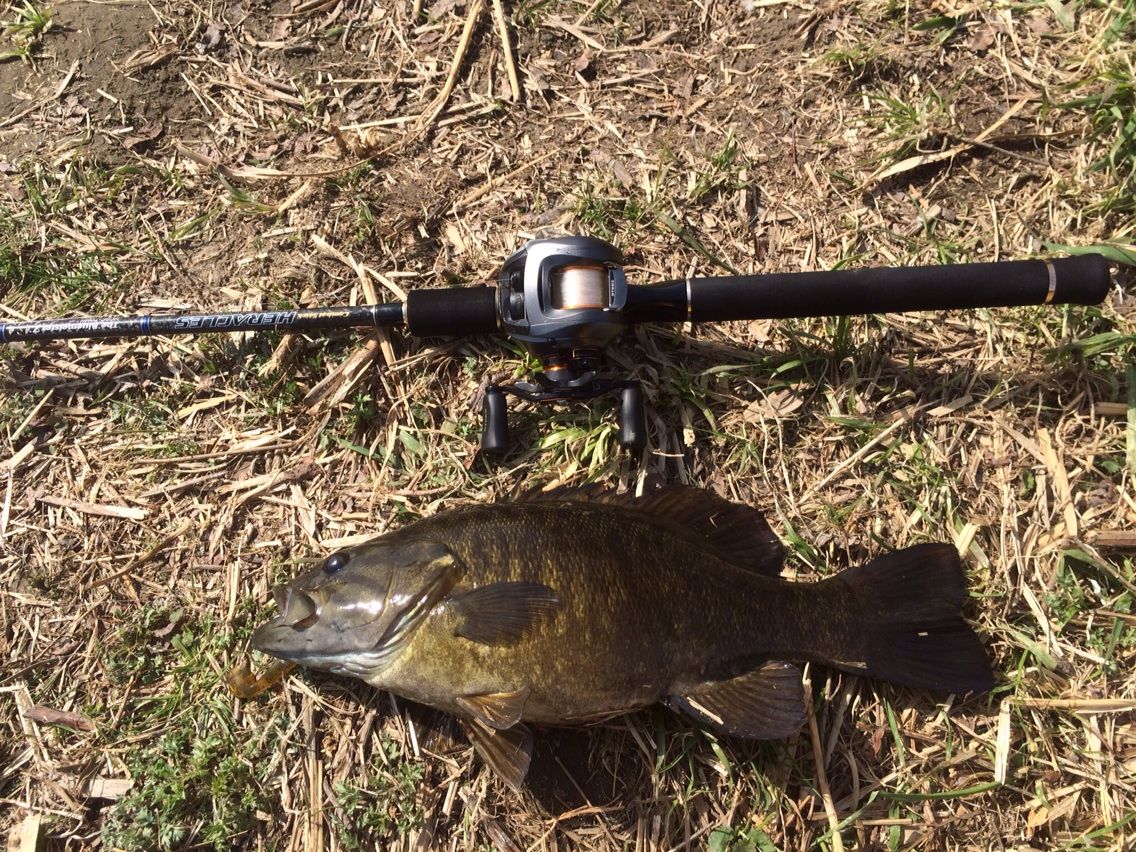 最近の多摩川スモールマウスバス Turisuke123のblog