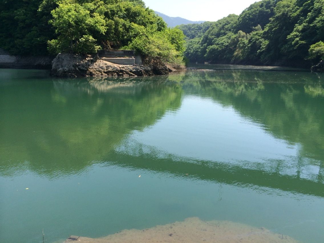 津久井湖おかっぱり Turisuke123のblog 津久井湖おかっぱり Turisuke123のblog