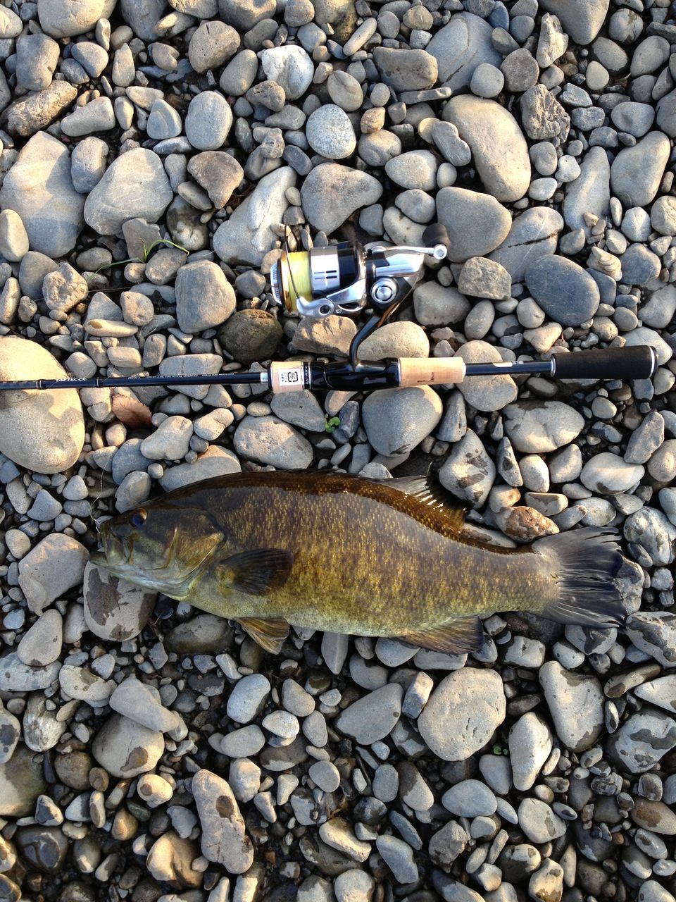 多摩川スモールマウス 冬の陣スタート Turisuke123のblog