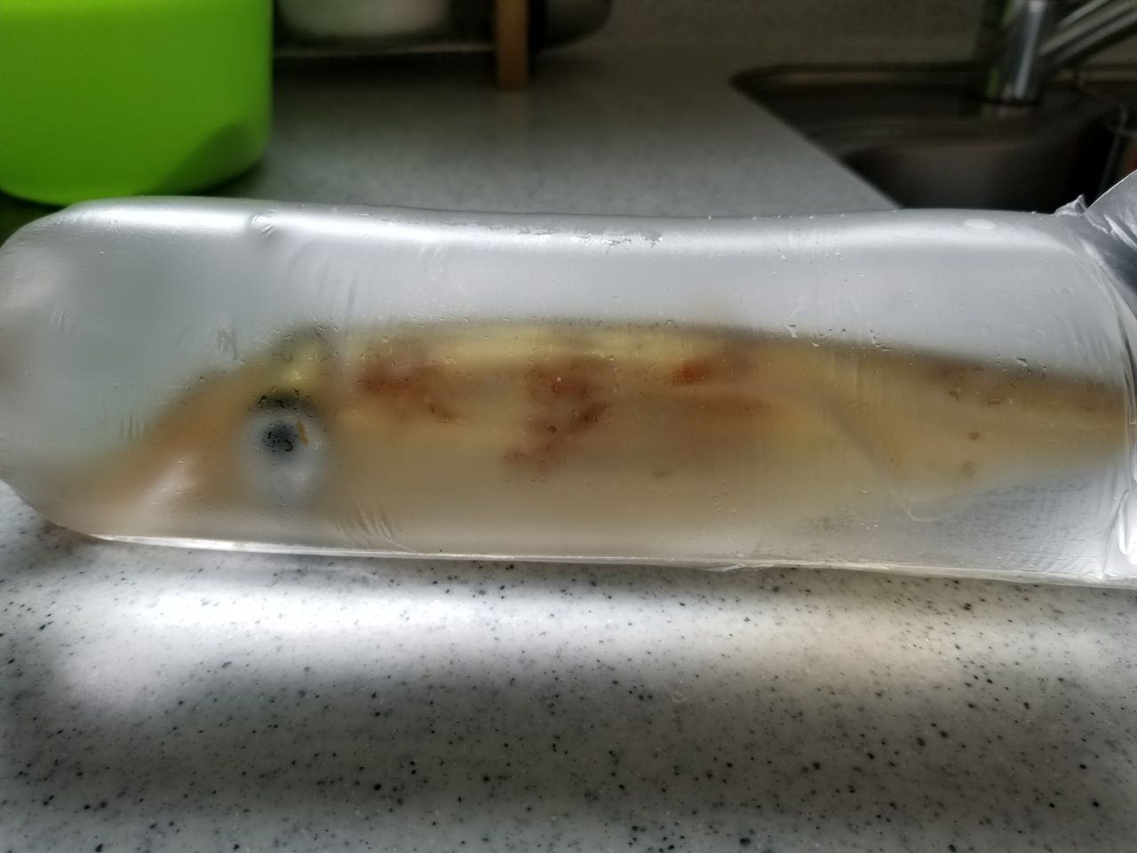 釣ったイカを活きたまま持ち帰る 釣海38 相模湾の釣れてる魚と料理 オススメアイテム 釣りは人を幸せにしますね 釣ったイカを活きたまま持ち帰る 釣海38 相模湾の釣れてる魚と料理 オススメアイテム 釣りは人を幸せにしますね