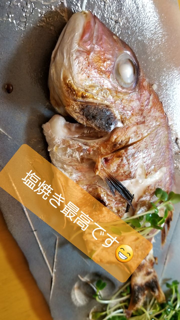 鯛は寄生虫までもが旨い 釣海38 相模湾の釣れてる魚と料理 オススメアイテム 釣りは人を幸せにしますね 鯛は寄生虫までもが旨い 釣海38 相模湾の釣れてる魚と料理 オススメアイテム 釣りは人を幸せにしますね