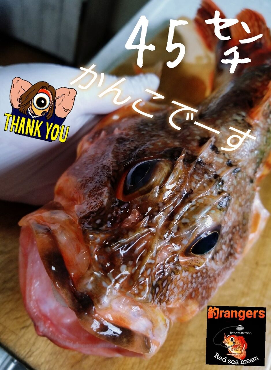 かんこ魚出汁 豚骨ラーメン 釣海38 相模湾の釣れてる魚と料理 オススメアイテム 釣りは人を幸せにしますね