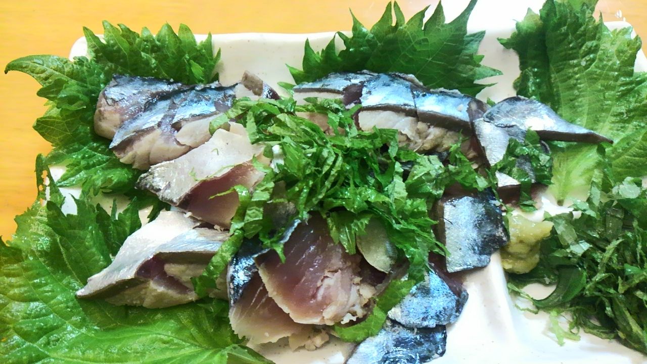 わらしべ長者釣り ヒラメ 釣海38 相模湾の釣れてる魚と料理 オススメアイテム 釣りは人を幸せにしますね