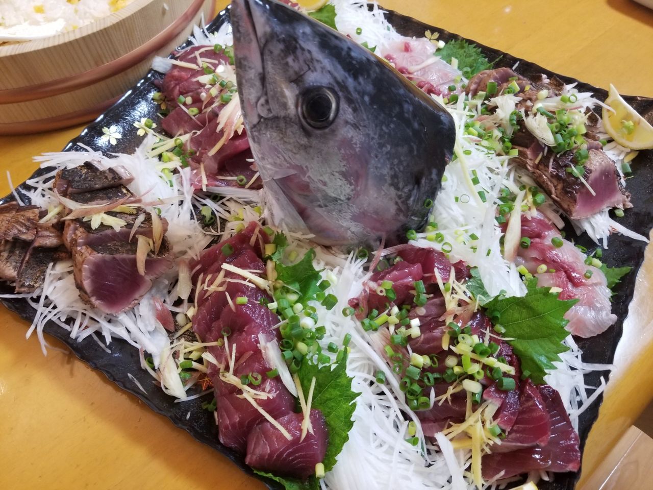 カツオ愛 釣海38 相模湾の釣れてる魚と料理 オススメアイテム 釣りは人を幸せにしますね