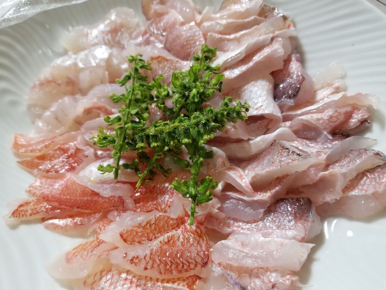 甘鯛の餌イソメ オキアミ 船長の秘密のち こポイント 釣海38 相模湾の釣れてる魚と料理 オススメアイテム 釣りは人を幸せにしますね