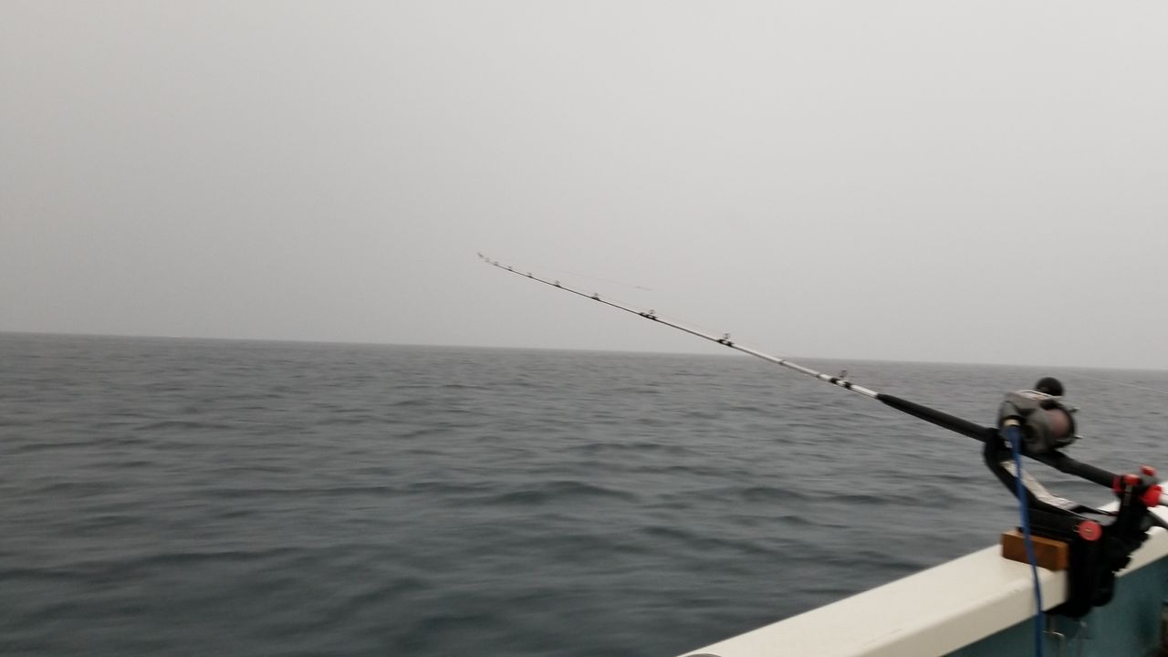雨でも楽しい コマセ真鯛船 釣海38 相模湾の釣れてる魚と料理 オススメアイテム 釣りは人を幸せにしますね
