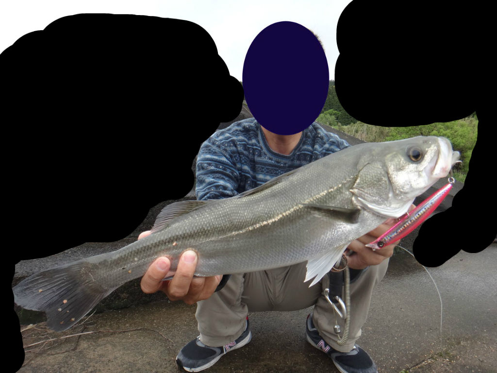 Gw前半戦 雨後 シーバス釣行へgo 後半はバス 雷魚釣行 博多発ルアー釣りブログ Gw前半戦 雨後 シーバス釣行へgo 後半はバス 雷魚釣行 博多発ルアー釣りブログ