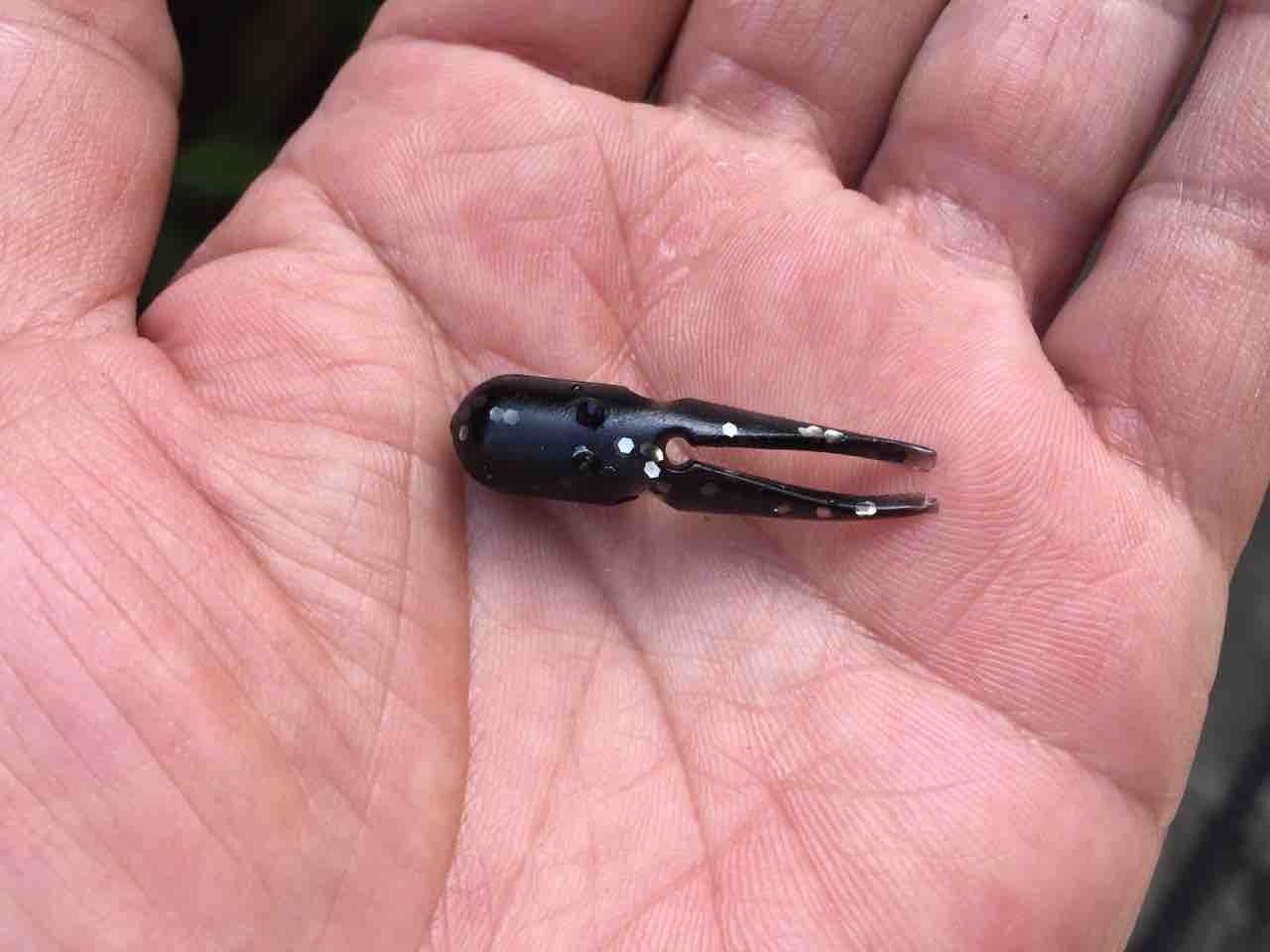 夏が来た ポッパーチニングやります 私のチヌルアー 心はいつも 釣り日和