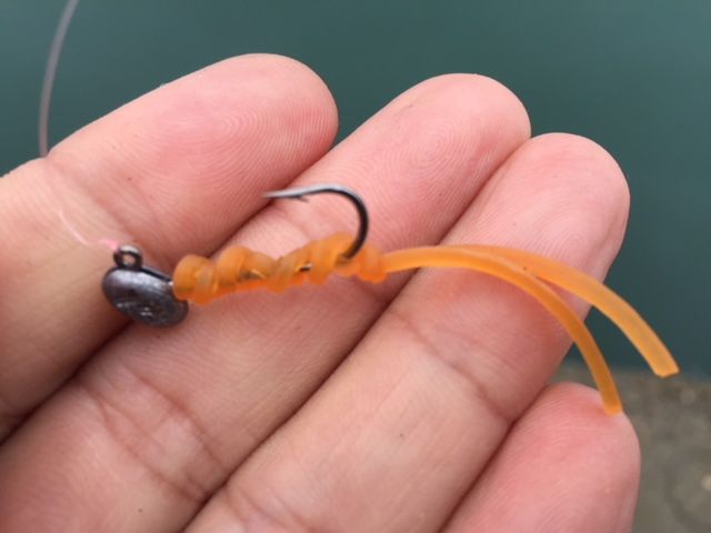 釣りガールはアオリに夢中 まさかの輪ゴムルアー最強伝説 心はいつも 釣り日和
