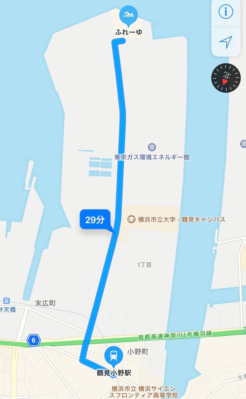ふれーゆ裏にて でかコノシロget 釣りキチ半蔵の釣り日誌 ふれーゆ裏にて でかコノシロget 釣りキチ半蔵の釣り日誌