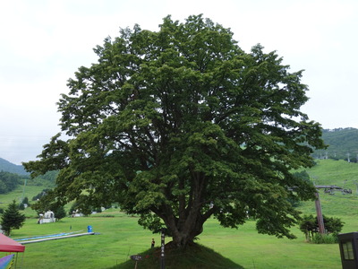 DSC00268