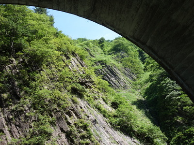 DSC00326