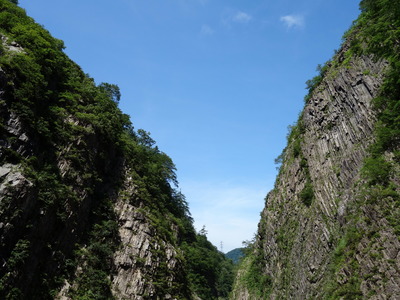 DSC00338
