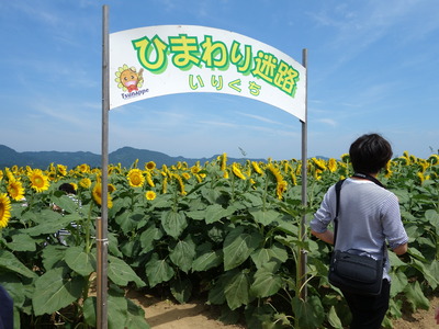 DSC00284