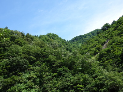DSC00308