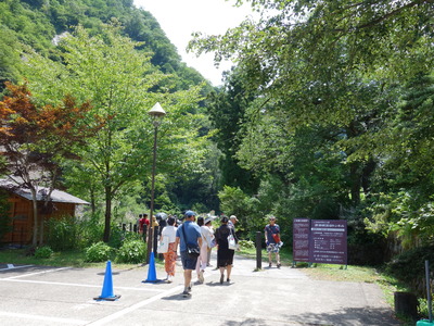 DSC00306