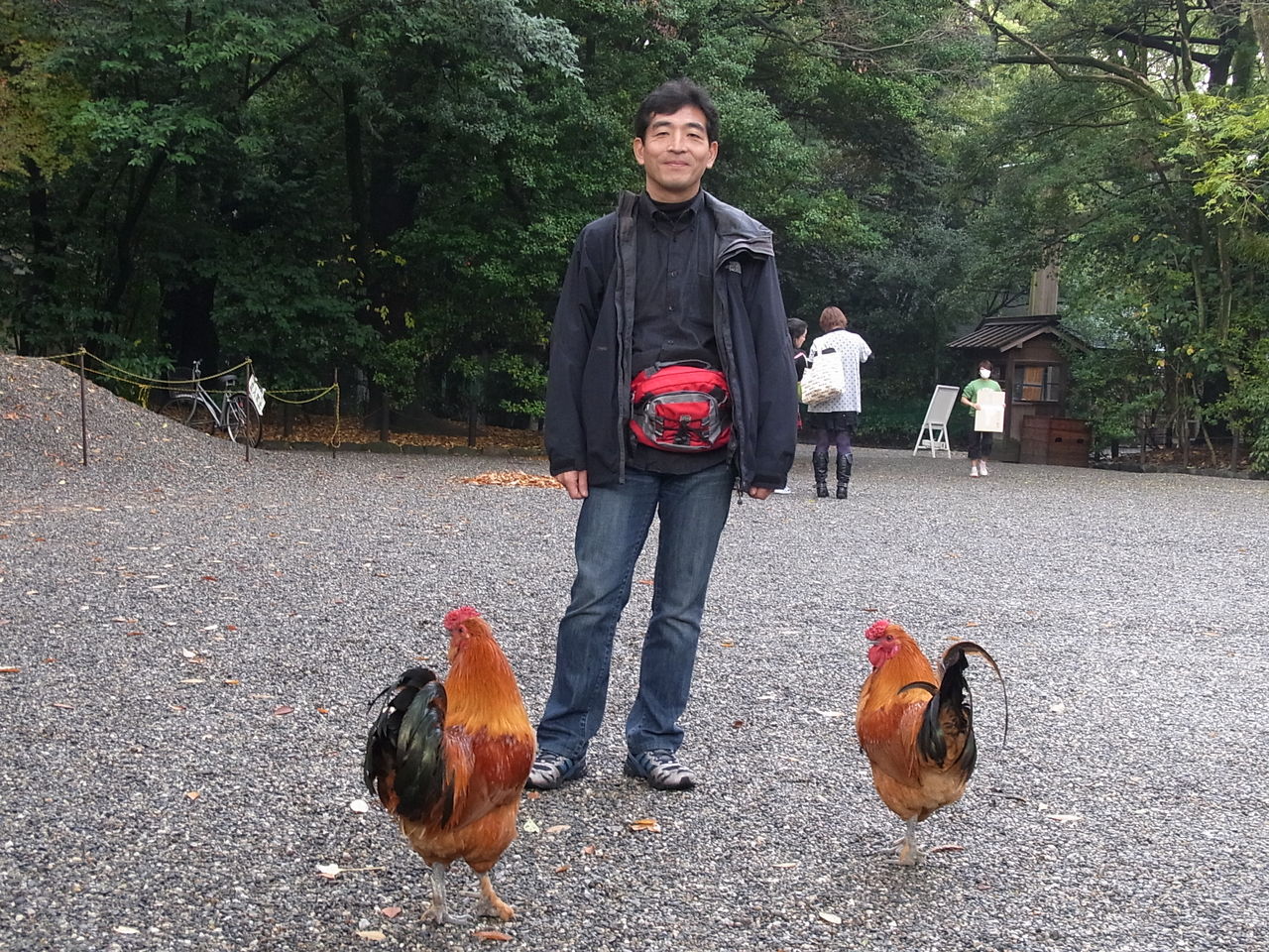 名古屋うみゃ もんツアー その6 名古屋名物 ひつまぶし あつた蓬莱軒 ひつまぶし大盛3780円 熱田神宮 B級グルメとラーメン二郎の食べある記 名古屋うみゃ もんツアー その6 名古屋名物 ひつまぶし あつた蓬莱軒 ひつまぶし大盛3780円 熱田神宮 B級グルメとラーメン二郎の食べある記