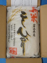 2025_11����ͥ������