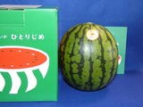 2023_07ヒューリック株主優待到着3