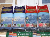 2009_6¥¼¥ó¥·¥ç¡¼³ô¼çÍ¥ÂÔ¥³¡¼¥Ò¡¼