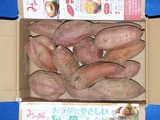 2017_11¥À¥¤¥³¥¯Åŵ¡³ô¼çÍ¥ÂÔÅþÃå