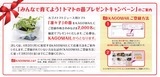 2017_03カゴメ凛々子