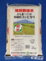 2018_11����������ͥ������