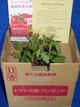 2017_05カゴメ凛々子当選