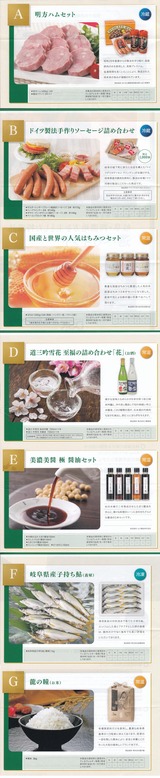 2017_03電算システム株主優待選択