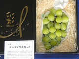 2022_09アイコム株主優待到着