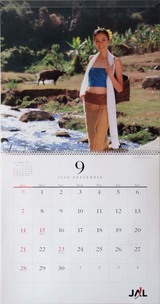 2007JAL��������